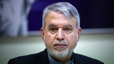 وزیر میراث فرهنگی سیدرضا صالحی امیر
